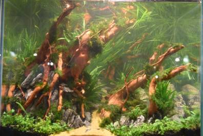 b组二等奖集美近景